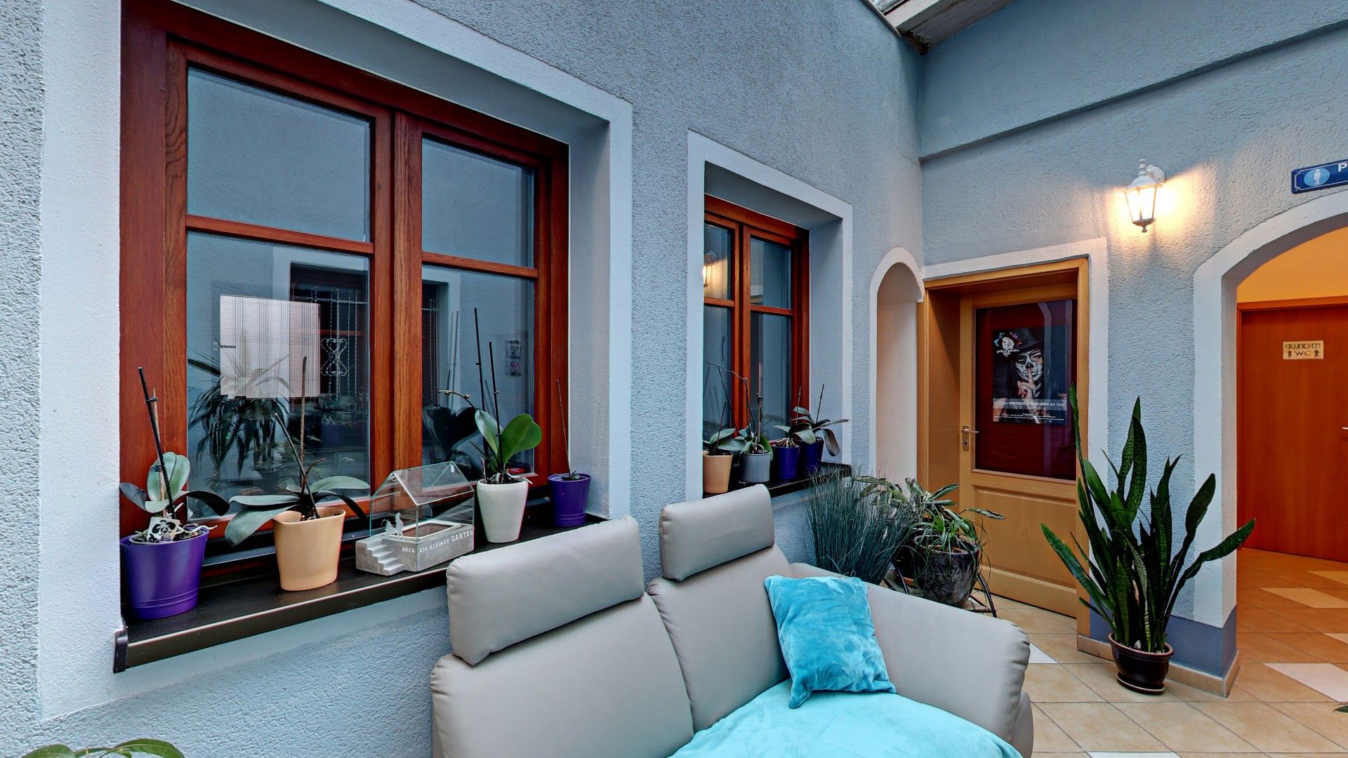 a living room with a couch and a plant