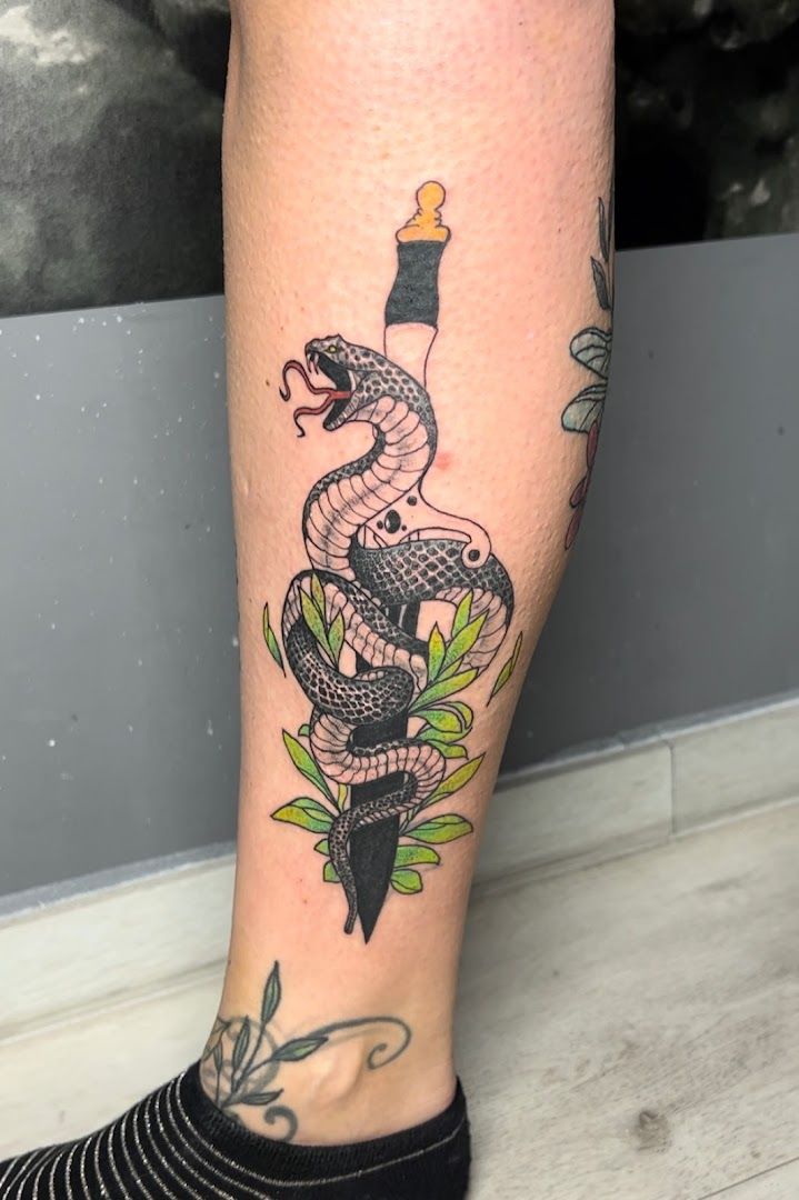 a snake narben tattoo on the leg, nienburg/weser, germany