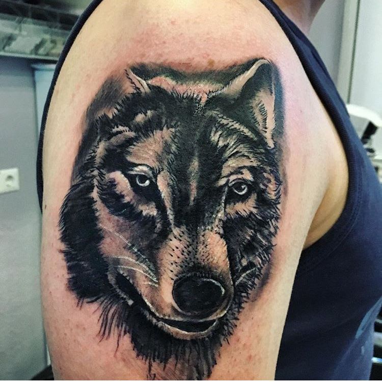 a black and grey wolf cover-up tattoo on the arm, bochum, germany