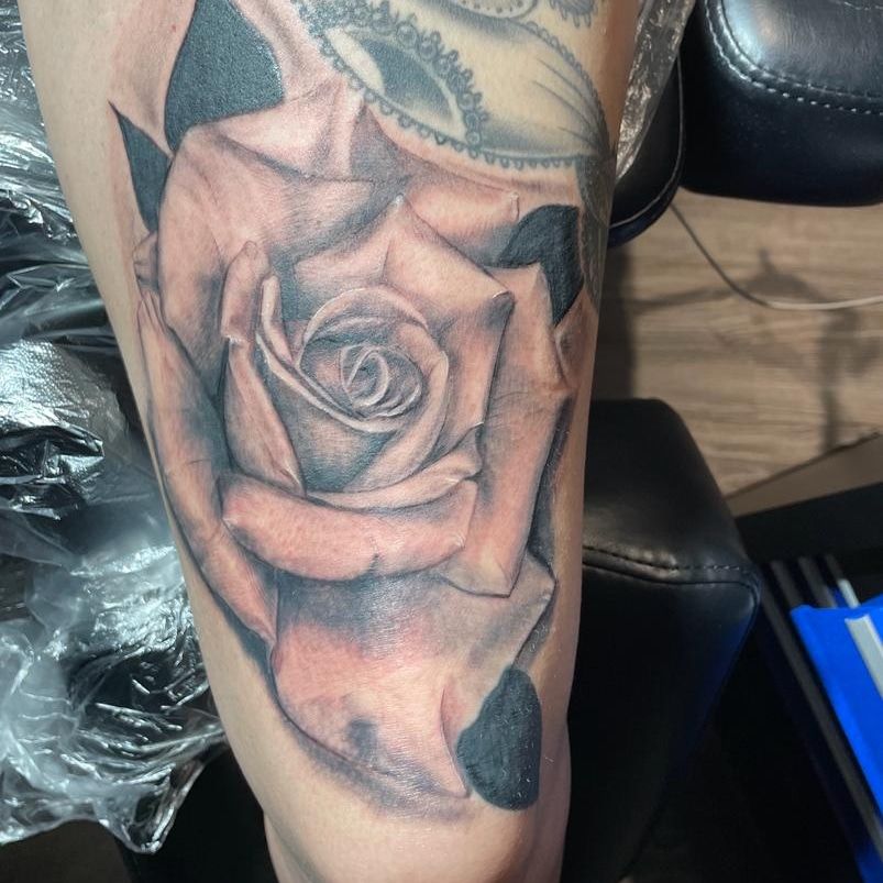 a cover-up tattoo of a rose on the leg, augsburg, germany