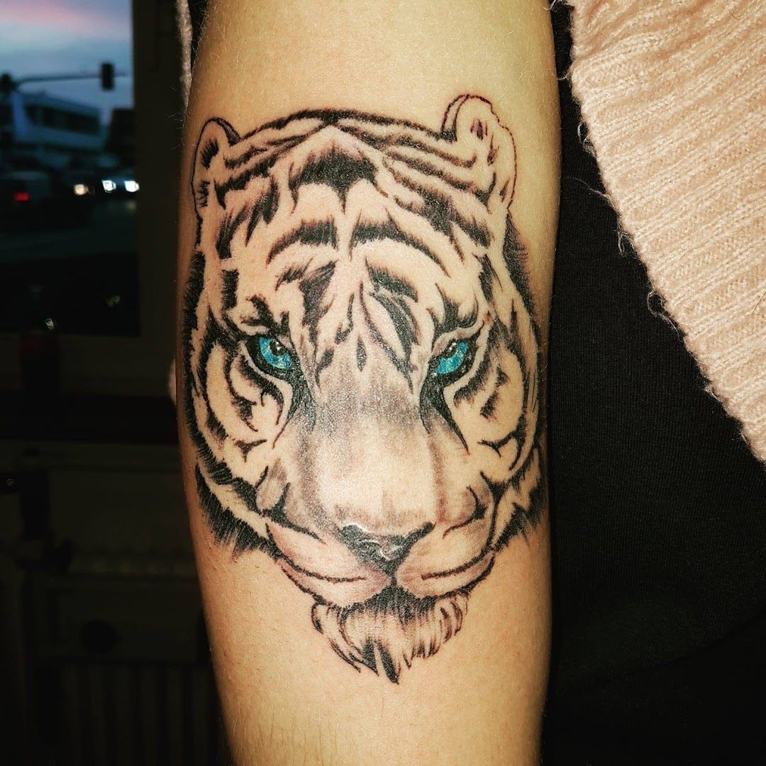 a tiger cover-up tattoo on the arm, lippe, germany