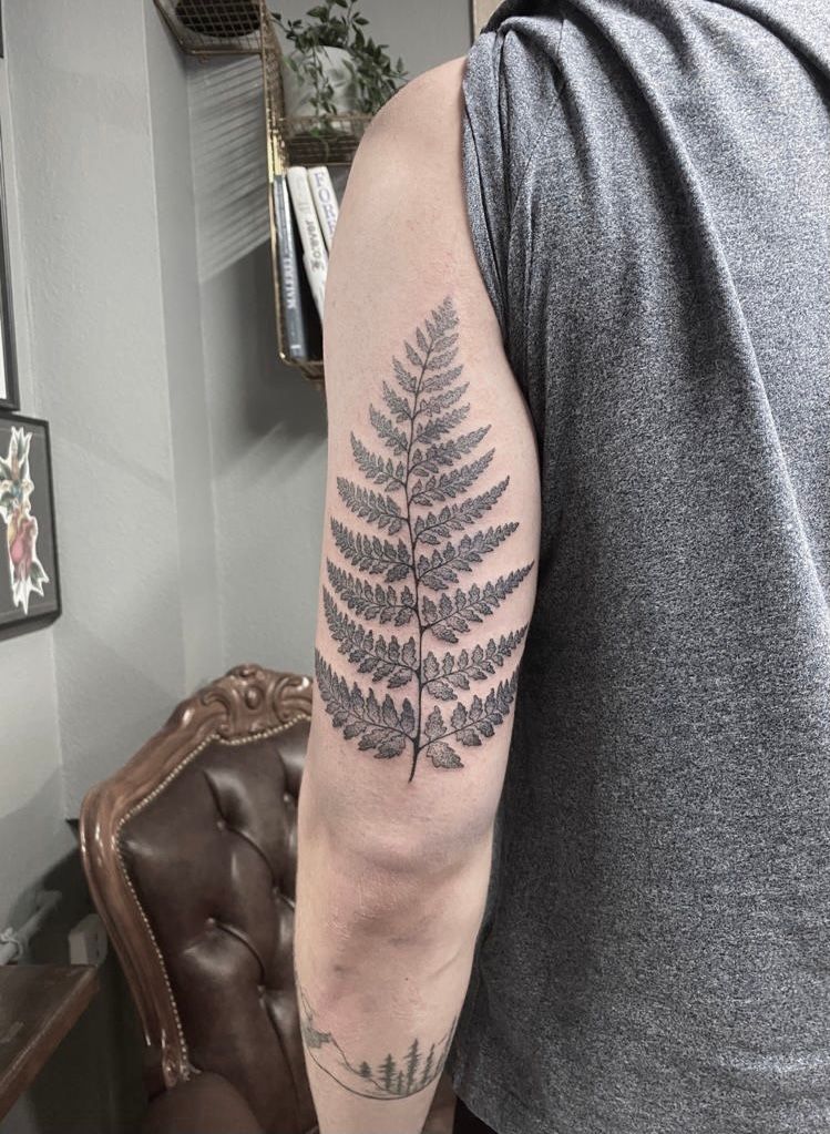 a fern leaf narben tattoo on the arm, kreisfreie stadt rostock, germany