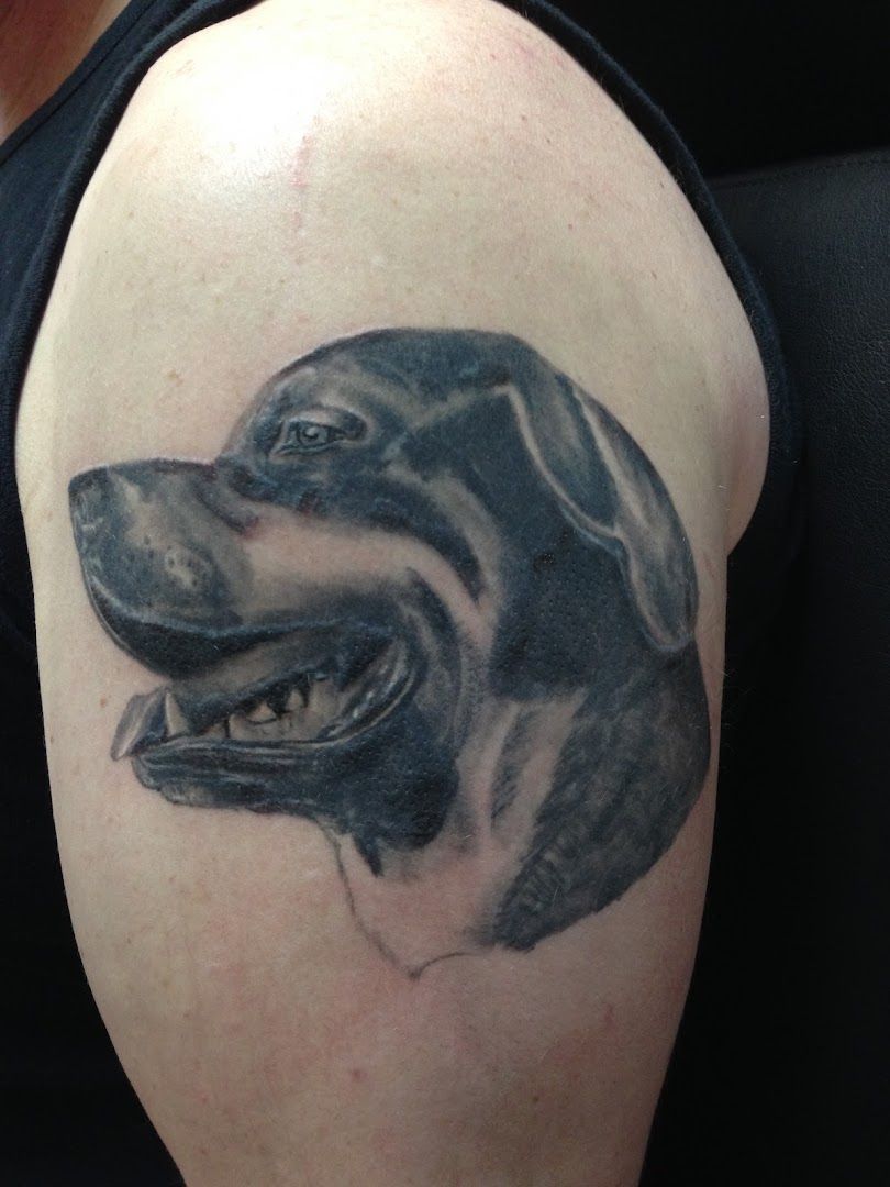 a black dog narben tattoo on the arm, minden-lübbecke, germany