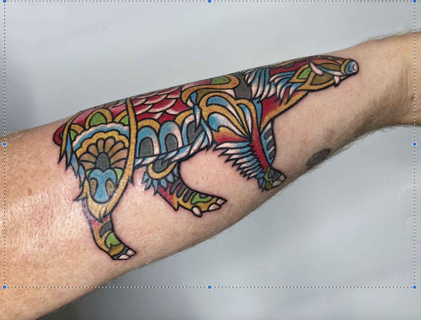 a cover-up tattoo of a bear with colorful patterns, berlin, germany