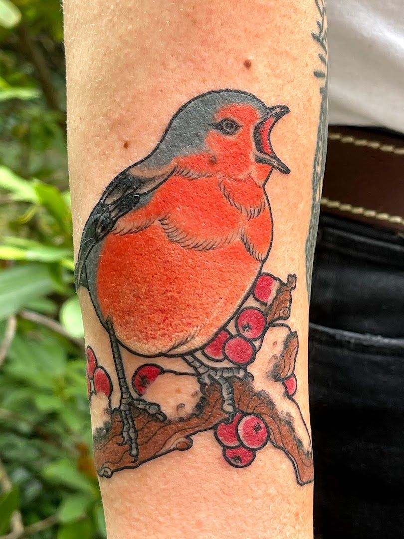 a bird on a branch with berries