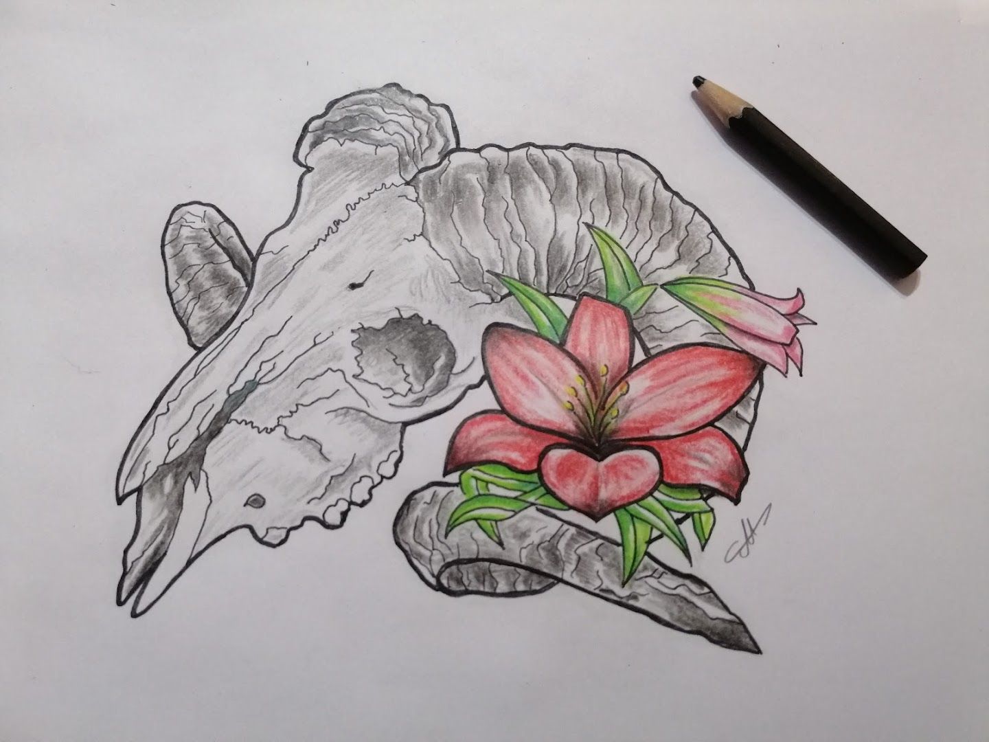 a drawing of a flower and a shark