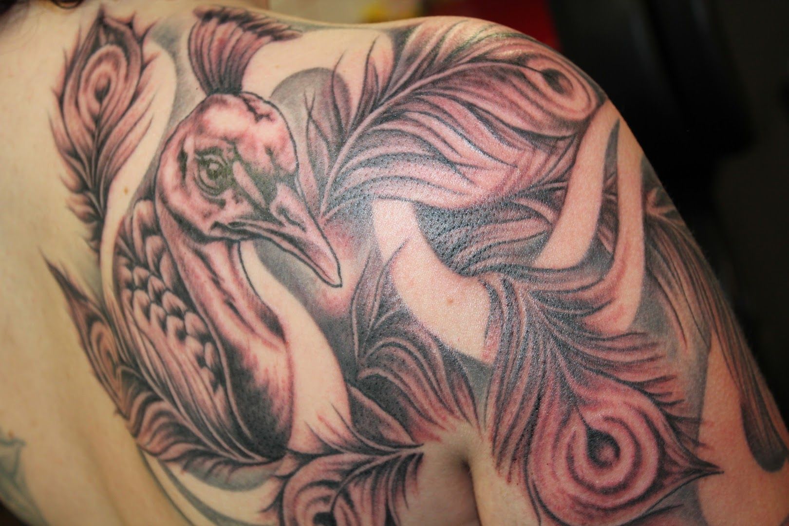 a cover-up tattoo of a bird with a flower on it, schwerin, germany