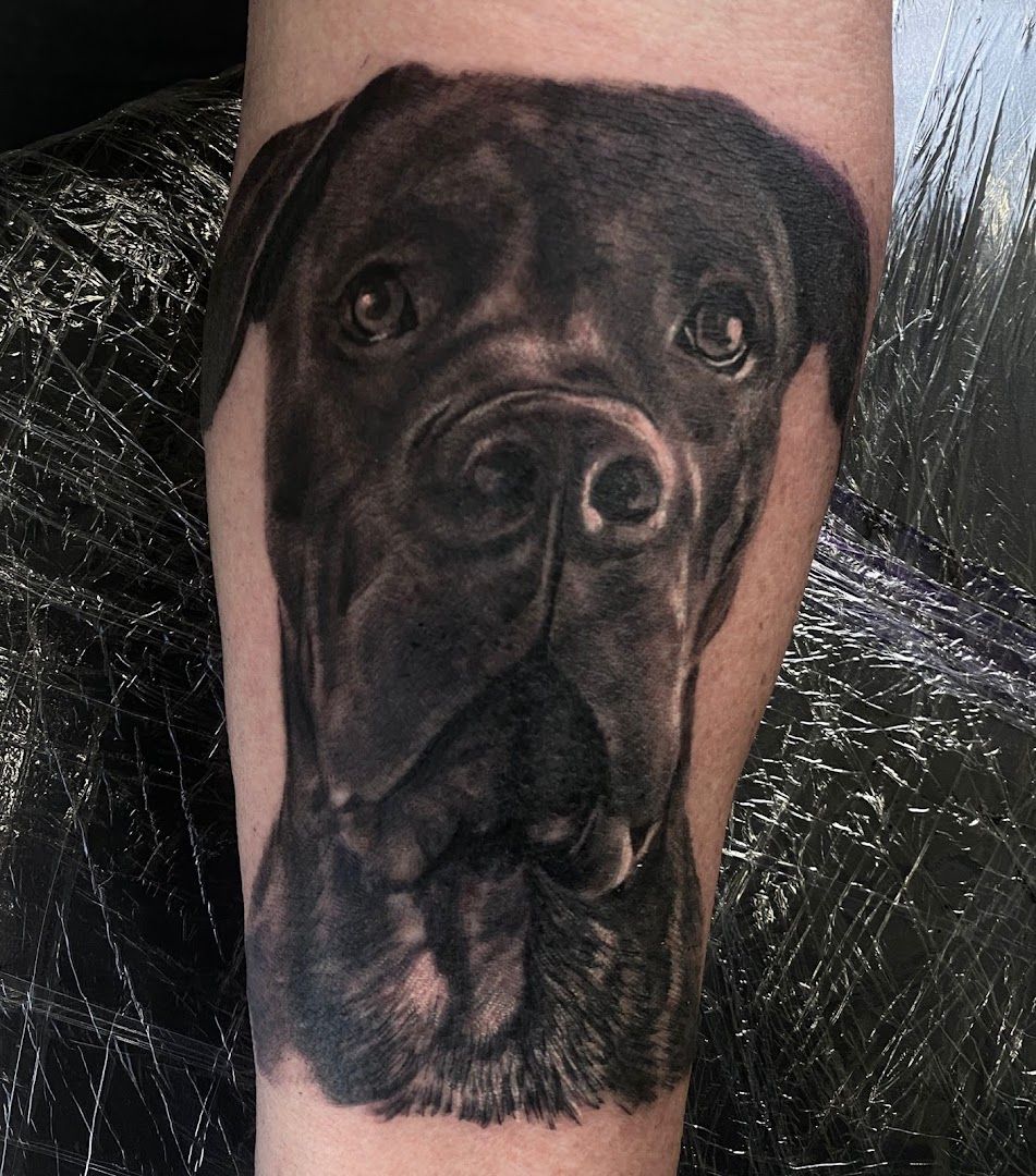 a black dog cover-up tattoo on the arm, duisburg, germany