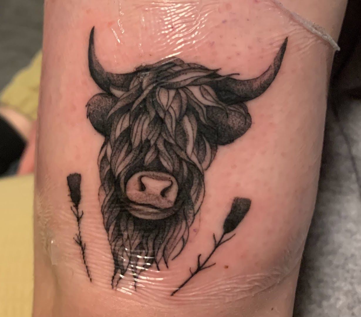 a narben tattoo of a cow on the leg, göttingen, germany