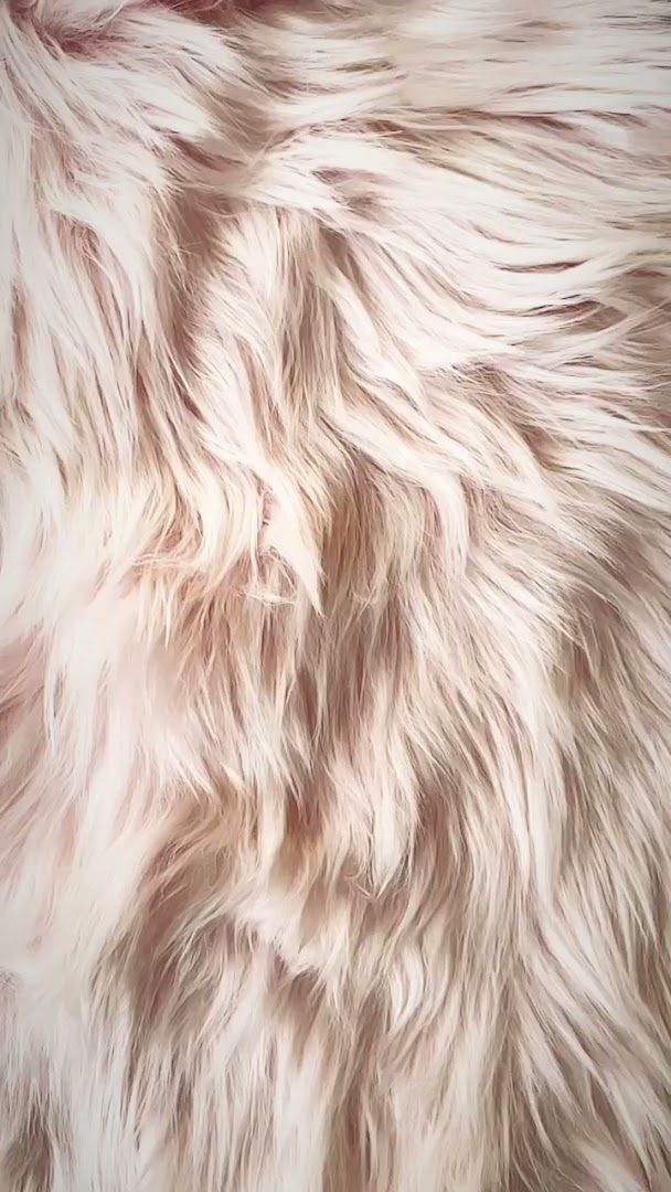 a close up of a white fur