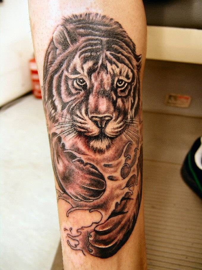 a tiger cover-up tattoo on the leg, nürnberg, germany