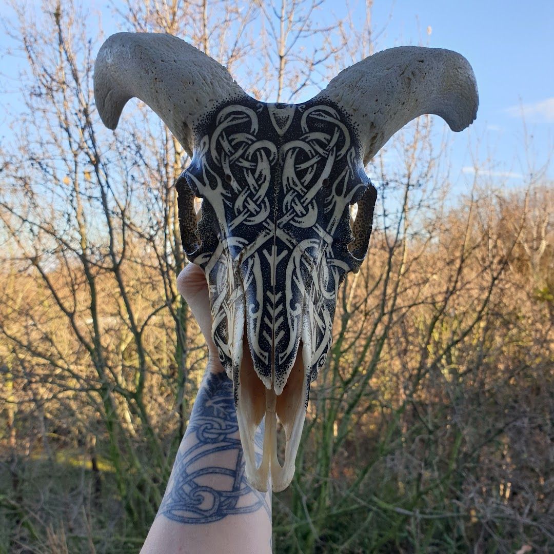 a person holding a goat skull in their hand