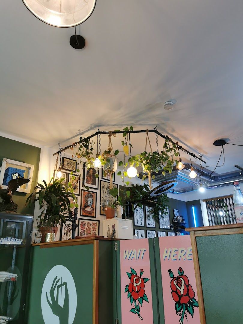 a ceiling with a bunch of plants hanging from the ceiling