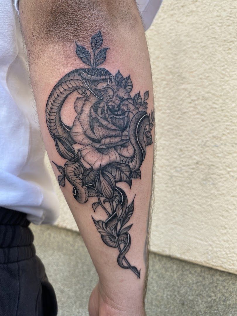 a black and white narben tattoo of a snake on the forearm, kreisfreie stadt augsburg, germany
