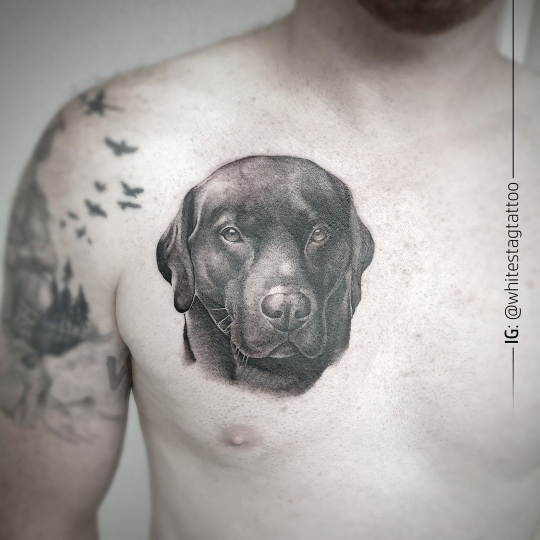 a black labrador dog cover-up tattoo on the chest, vogelsbergkreis, germany