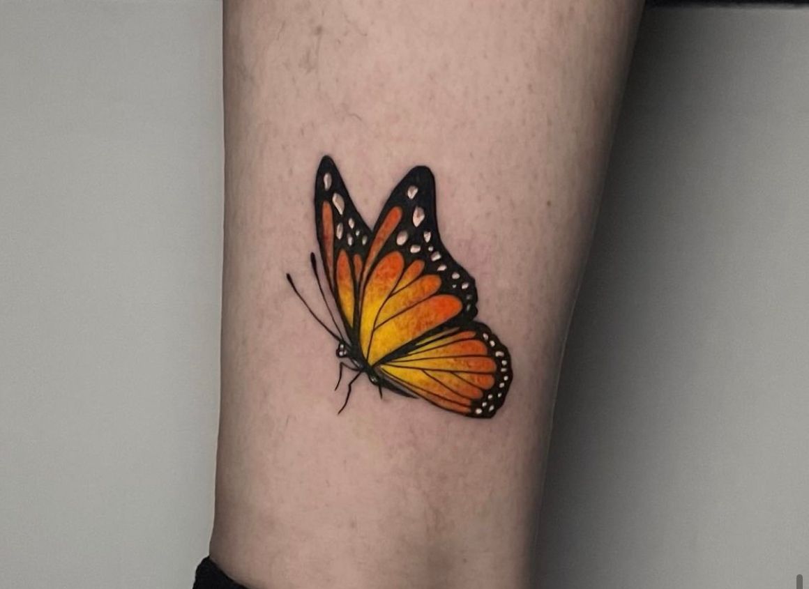 a small butterfly narben tattoo on the ankle, siegen-wittgenstein, germany