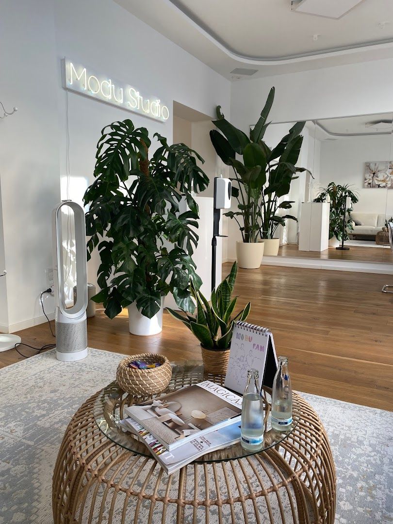 a plant in a basket on a coffee table