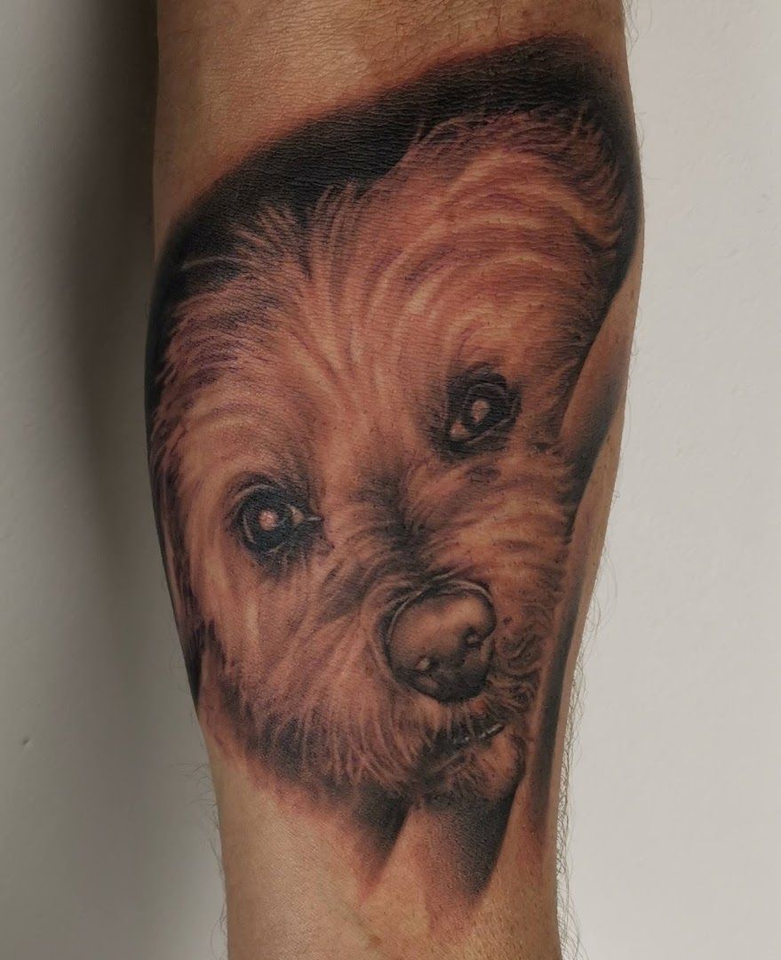 a dog cover-up tattoo on the leg, wuppertal, germany