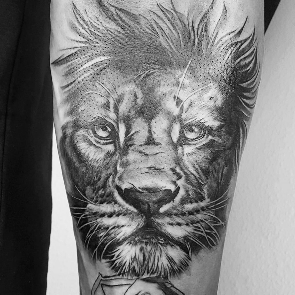 a black and white cover-up tattoo of a lion, paderborn, germany