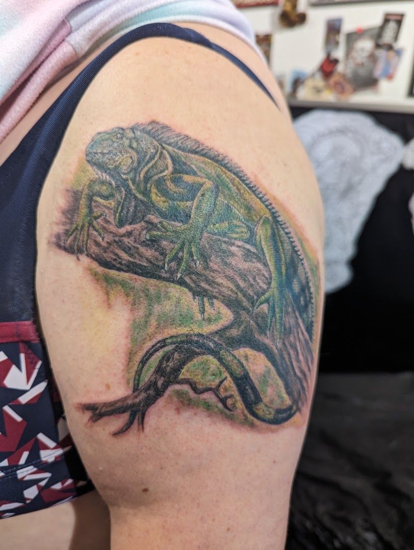 a lizard narben tattoo on the arm, paderborn, germany