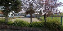 a tree in a yard with a fence