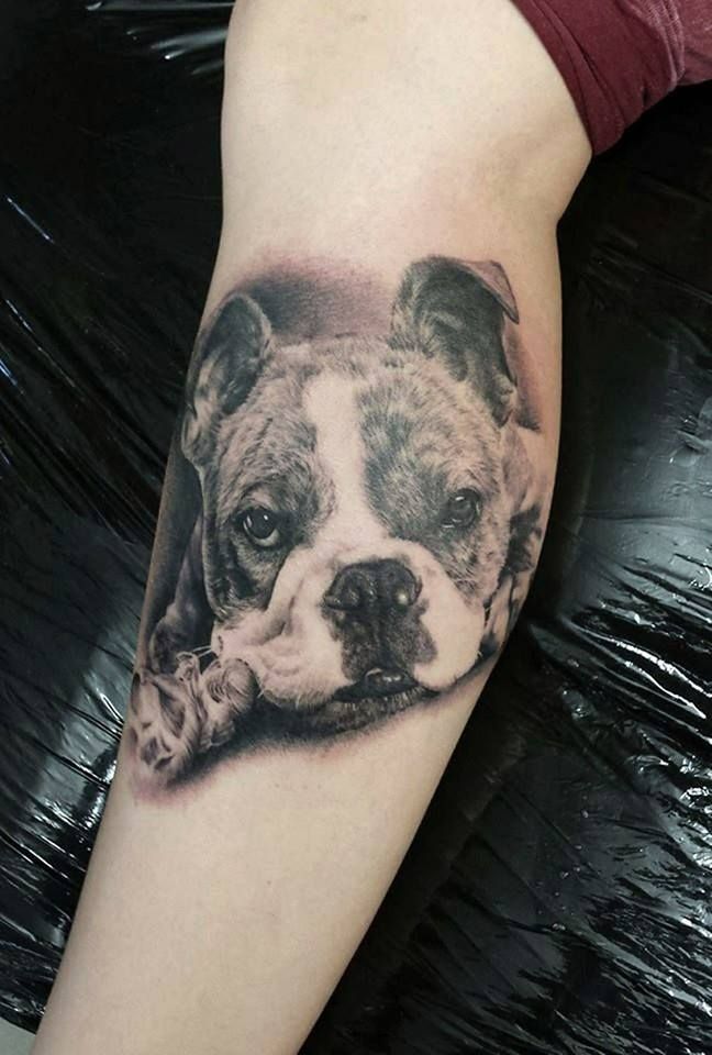 a dog narben tattoo on the arm, ludwigsburg, germany