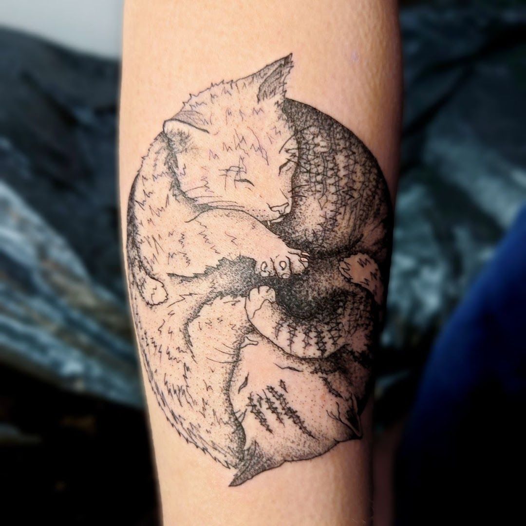 a cover-up tattoo of a cat and a bird, neuburg-schrobenhausen, germany