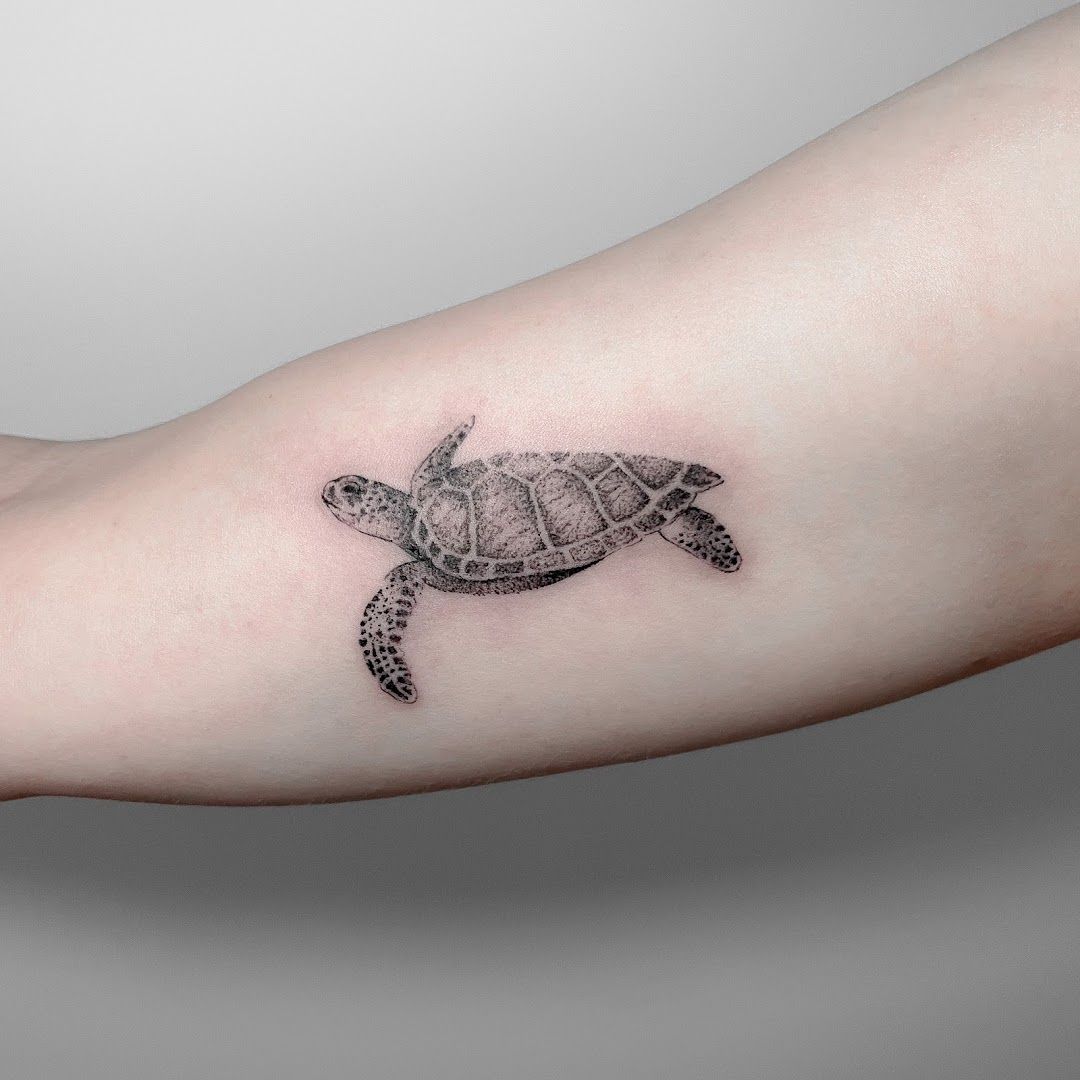 a small turtle cover-up tattoo on the arm, kreisfreie stadt freiburg im breisgau, germany