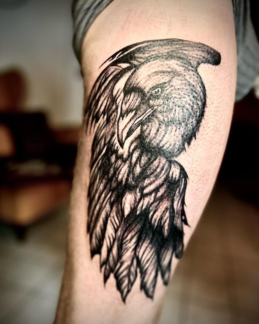 a black and white narben tattoo of a raven bird, mittelsachsen, germany