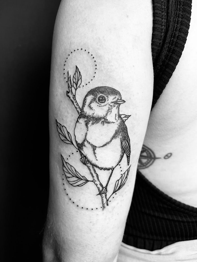 a small bird on a branch narben tattoo, berlin, germany