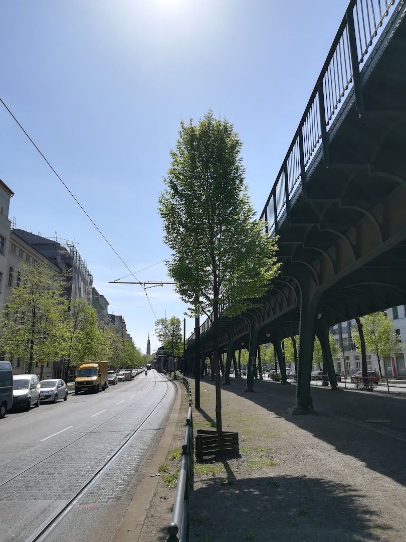 a street with a train track and a tree