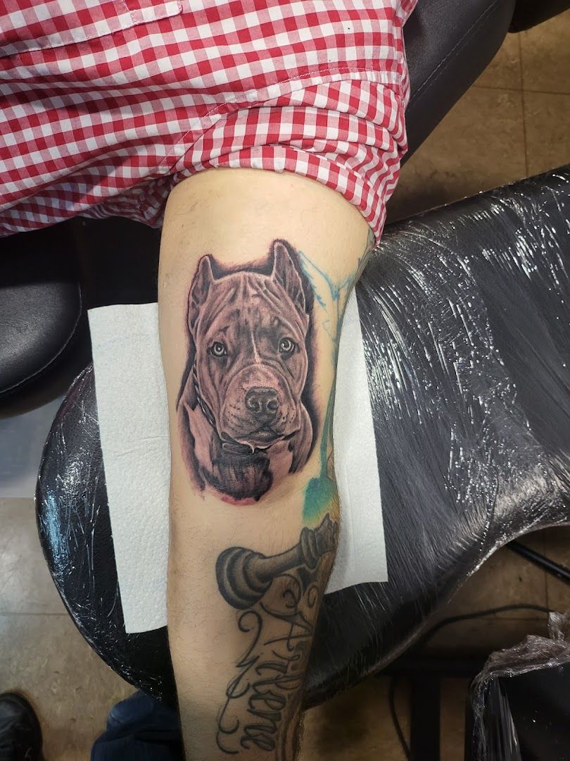 a cover-up tattoo of a dog on the arm, nürnberg, germany