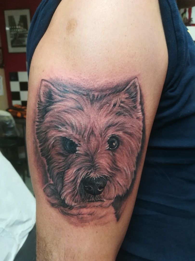 a dog narben tattoo on the arm, dahme-spreewald, germany