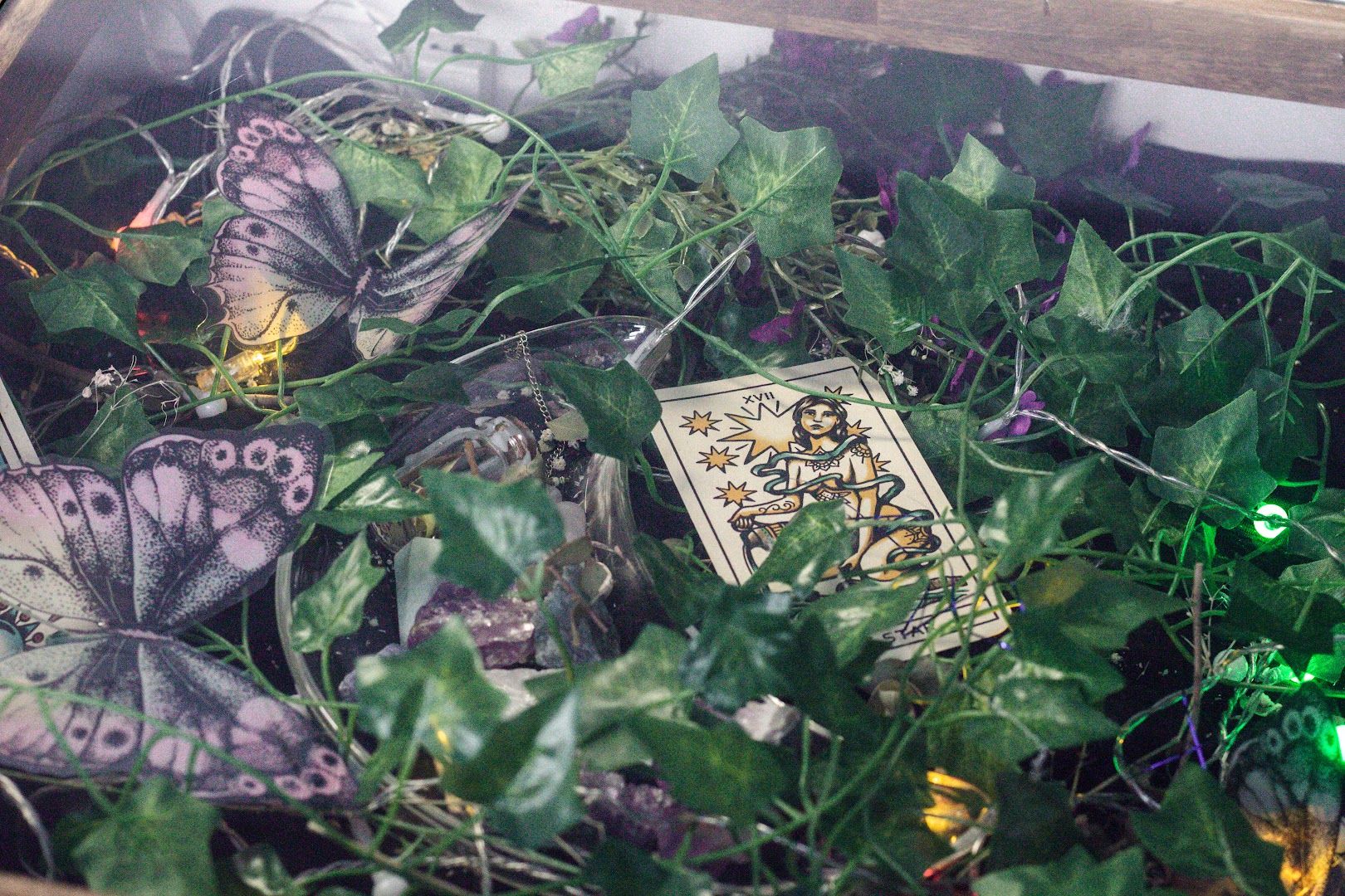 a box filled with green plants and fairy lights