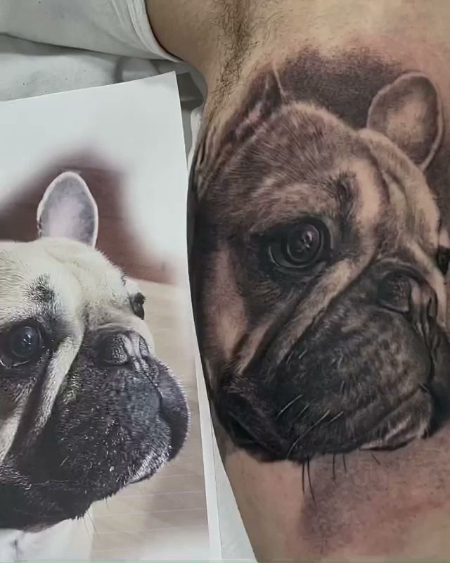 a narben tattoo of a dog on the arm, hohenlohe, germany