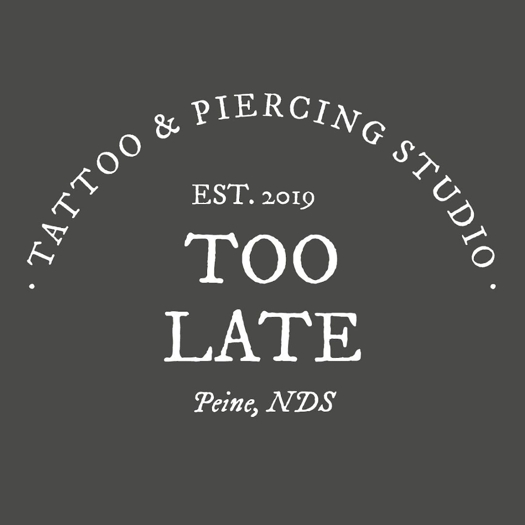 the logo for the tao and eric studio