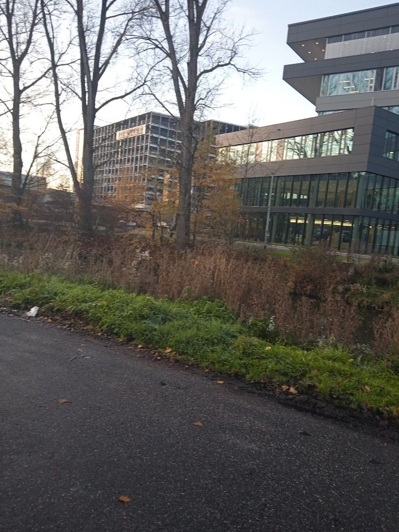 a road with a bunch of trees and bushes