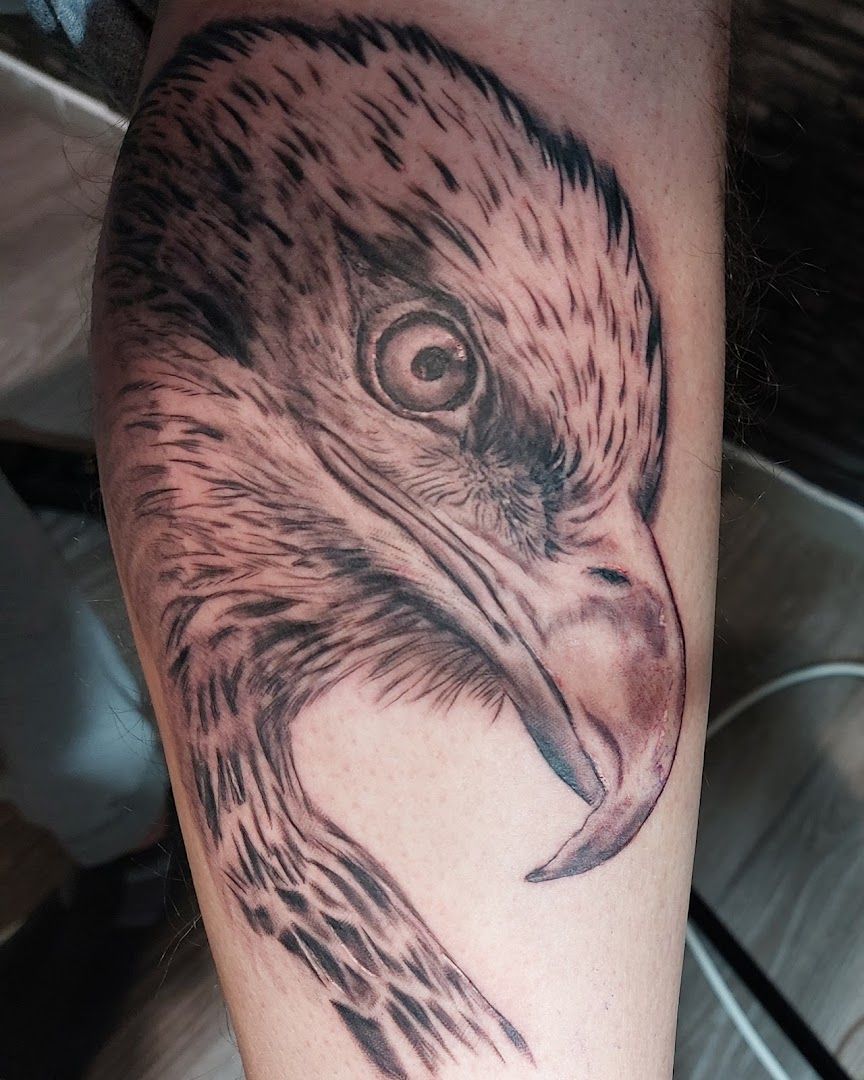 a cover-up tattoo of an eagle with a black and white design, augsburg, germany