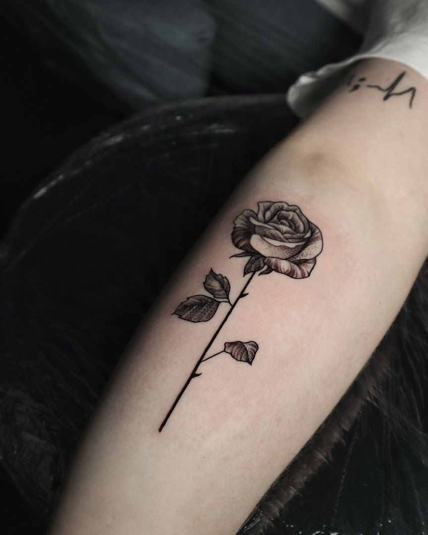 a rose cover-up tattoo on the arm, kassel, germany