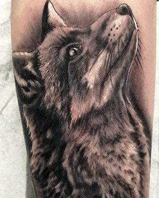 a wolf cover-up tattoo on the forearm, barnim, germany