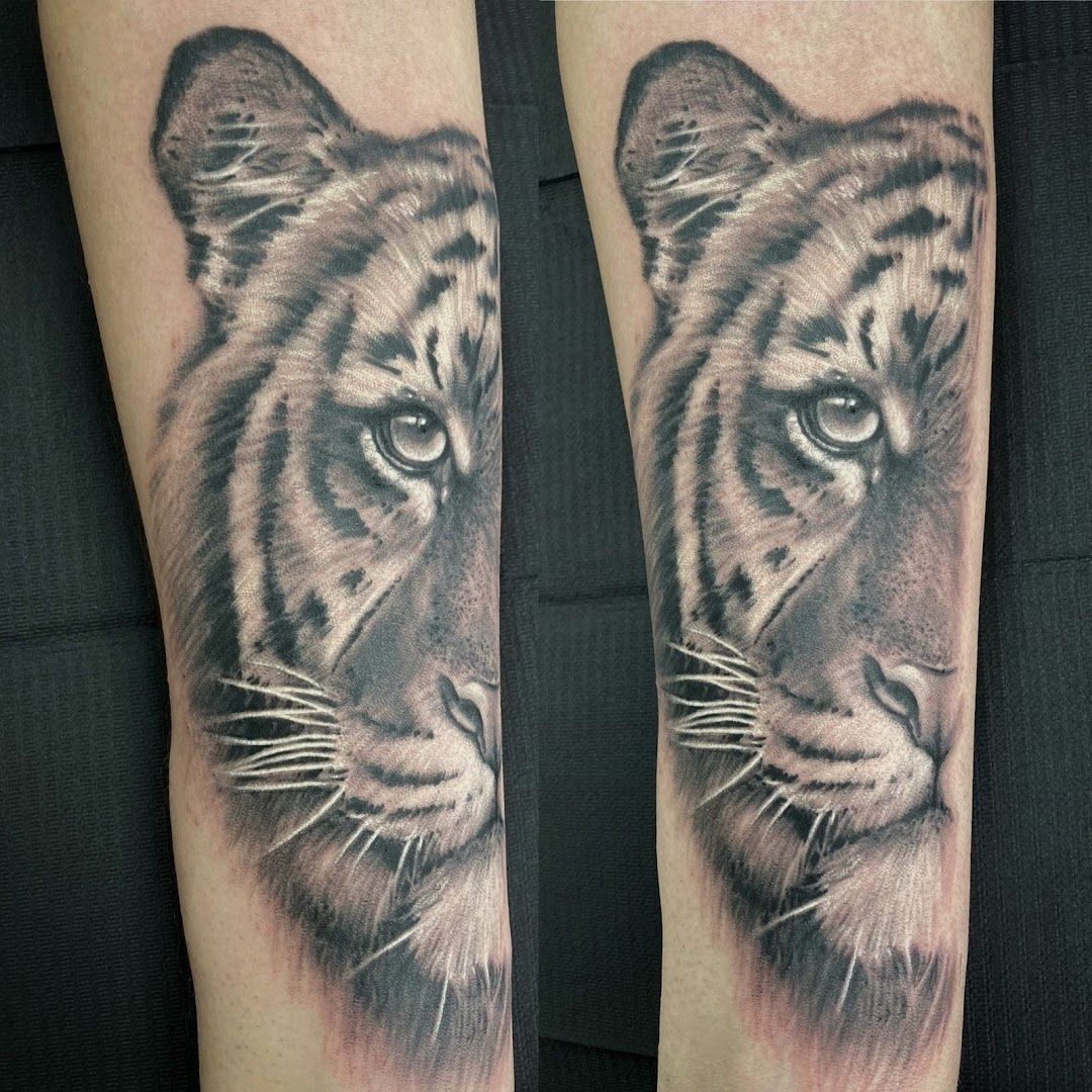 a tiger cover-up tattoo on the forearm, waldshut, germany