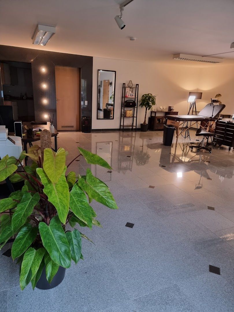 a living room with a large plant in the middle