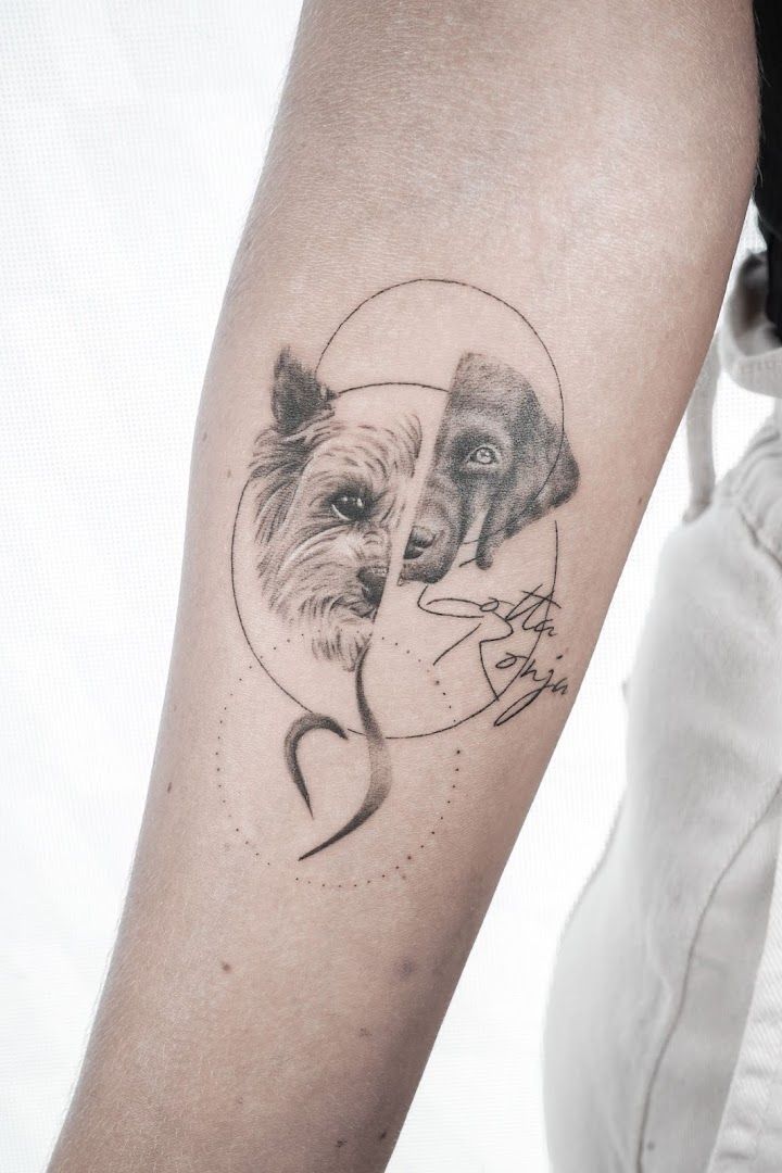 a dog narben tattoo on the arm, frankfurt, germany