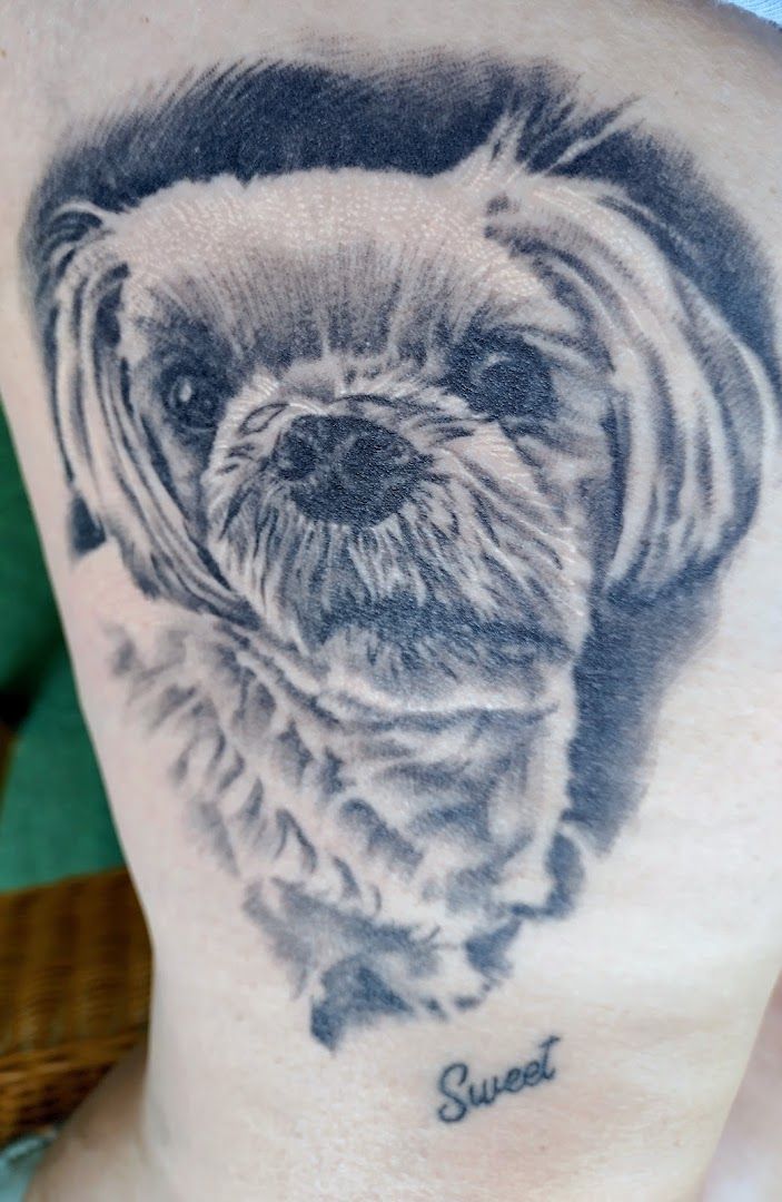 a black and white realistic tattoos of a pug, saarlouis, germany