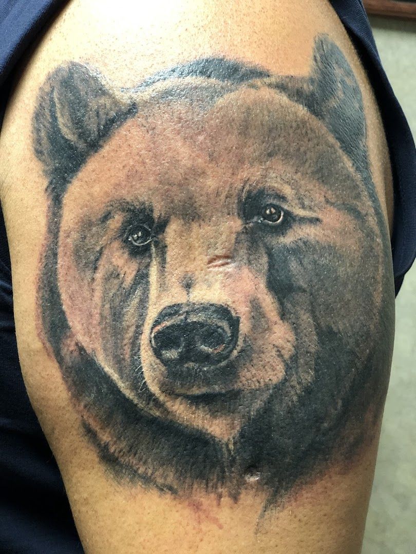 a bear cover-up tattoo on the arm, sigmaringen, germany