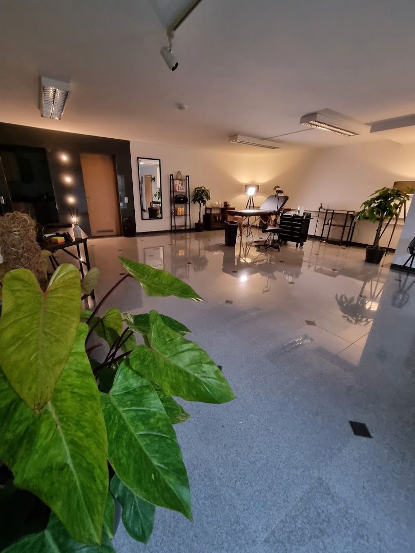 a living room with a large plant in the middle
