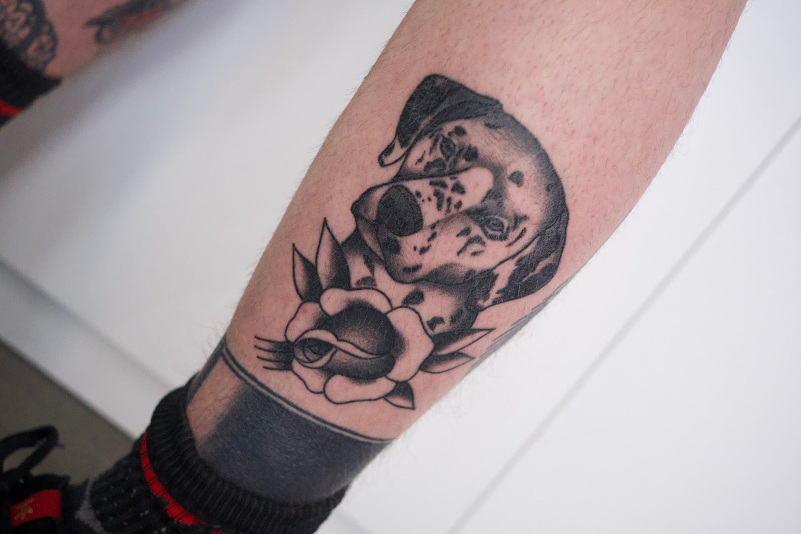 a cover-up tattoo of a dog and a cat on the arm, berlin, germany