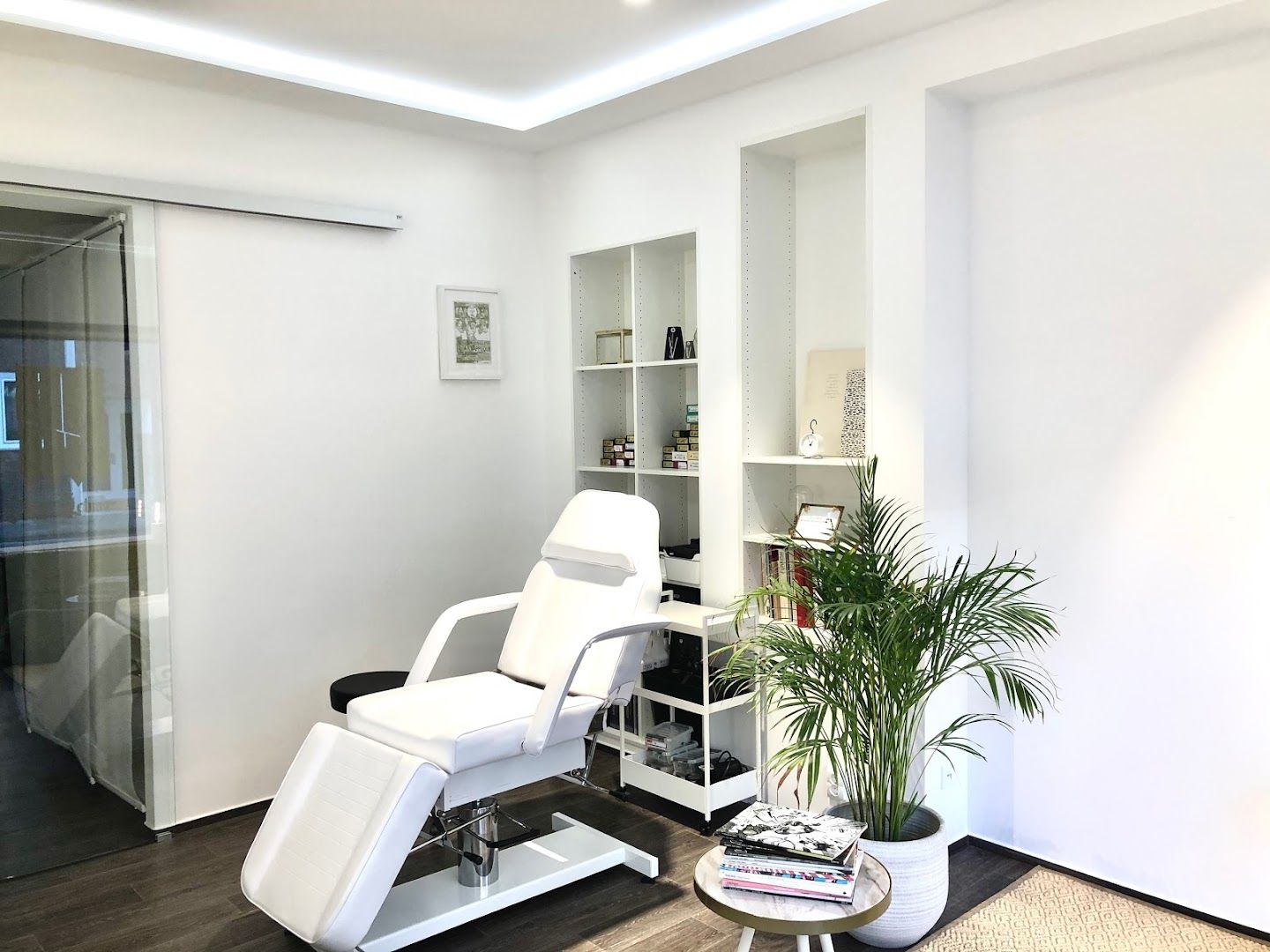 a salon room with a chair and a plant