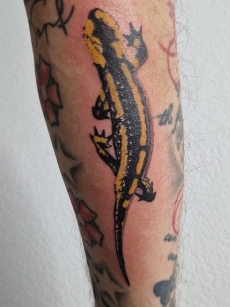 a lizard narben tattoo on the arm, südliche weinstraße, germany