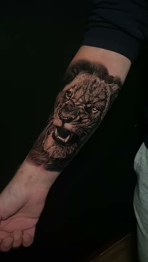 a lion portrait tattoos on the forearm, kreisfreie stadt karlsruhe, germany